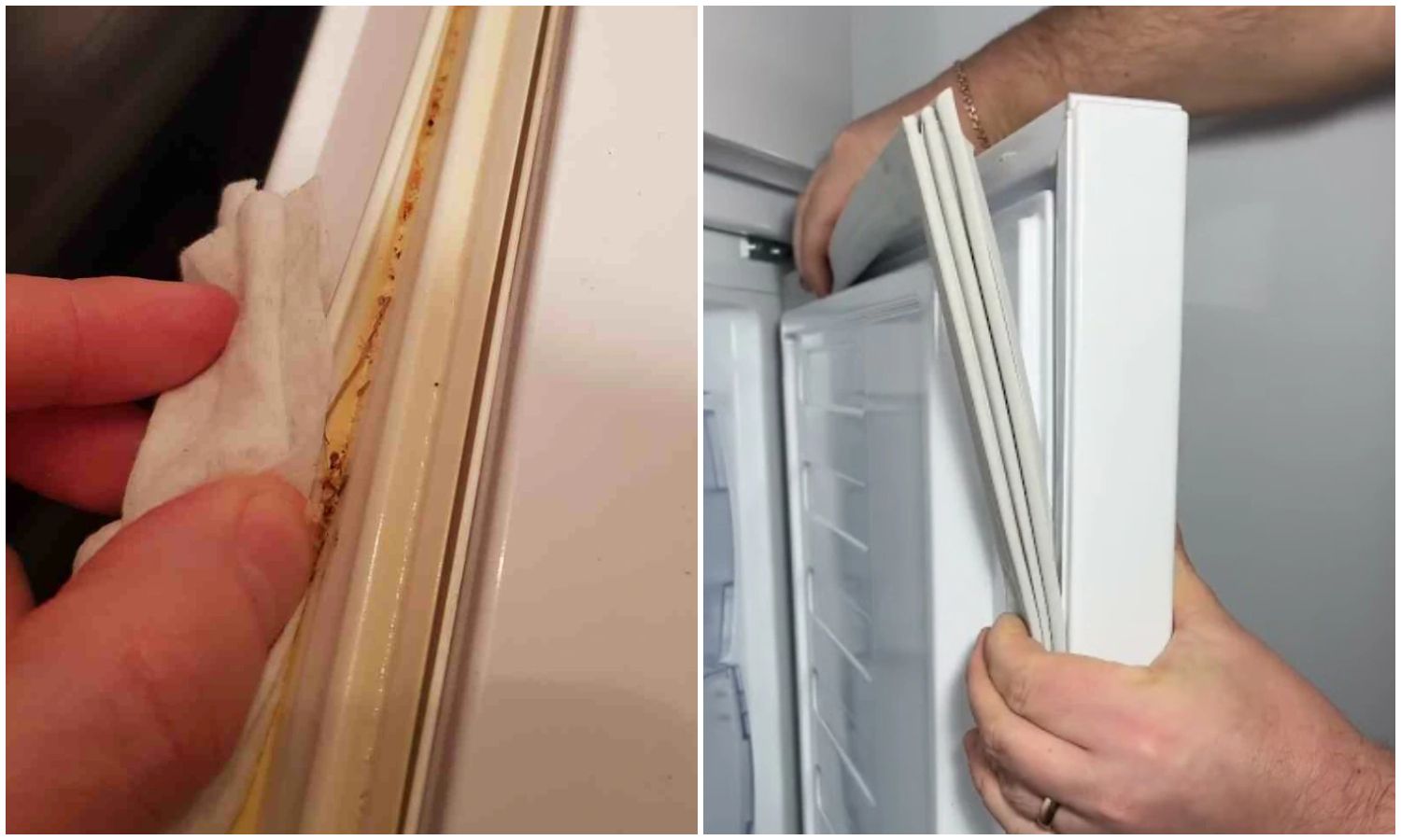 Easy to clean Refrigerator Door Rubber