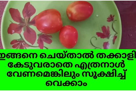 തക്കാളി കേടാകാതെ സൂക്ഷിക്കണമോ?? വീട്ടിൽ പരീക്ഷിക്കാവുന്ന അടിപൊളി സൂത്രങ്ങൾ ഇതാണ്