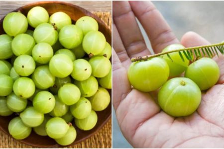 തുടര്‍ച്ചയായി 3 ദിവസം നെല്ലിക്ക കഴിച്ചാൽ ശരീരത്തിന് ലഭിക്കുന്ന ഞെട്ടിക്കുന്ന ഗുണങ്ങൾ