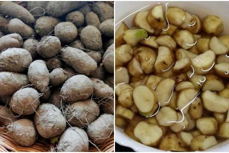 കൂർക്ക വ്യത്തിയാക്കാൻ ഇതിലും എളുപ്പമായ മാർഗമില്ല!