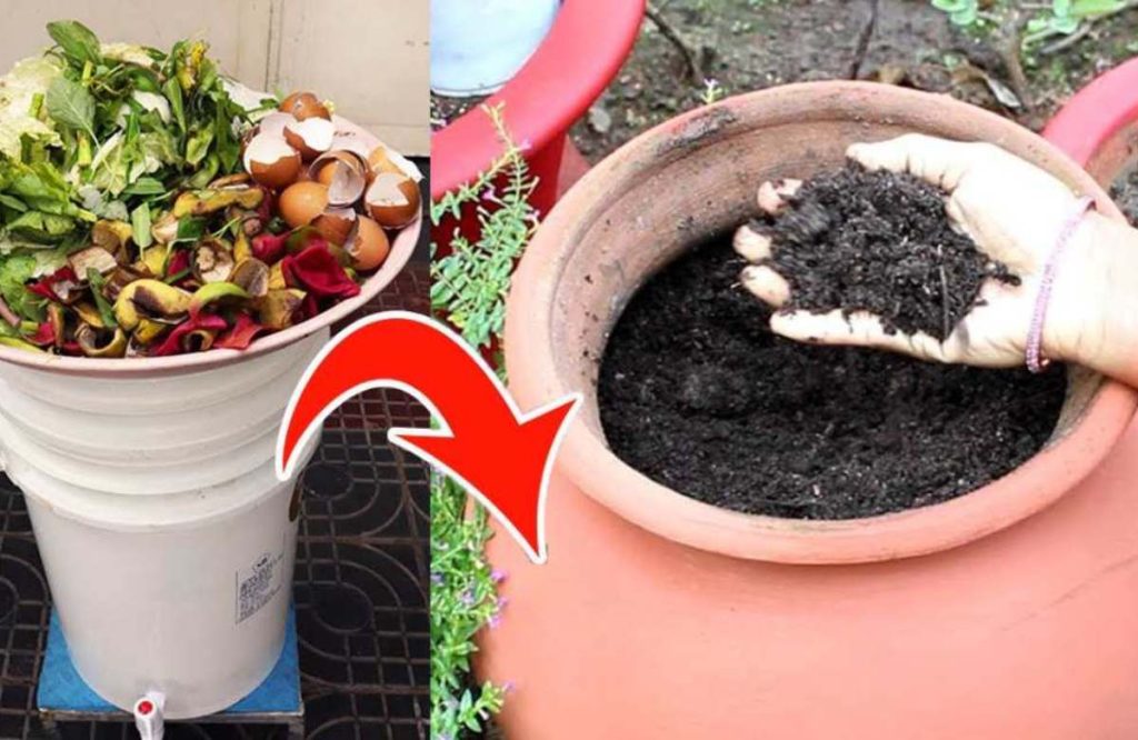 Easy Kitchen Compost Making Idea