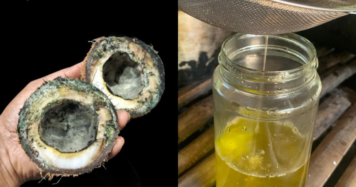 Prepare coconut oil at home easily