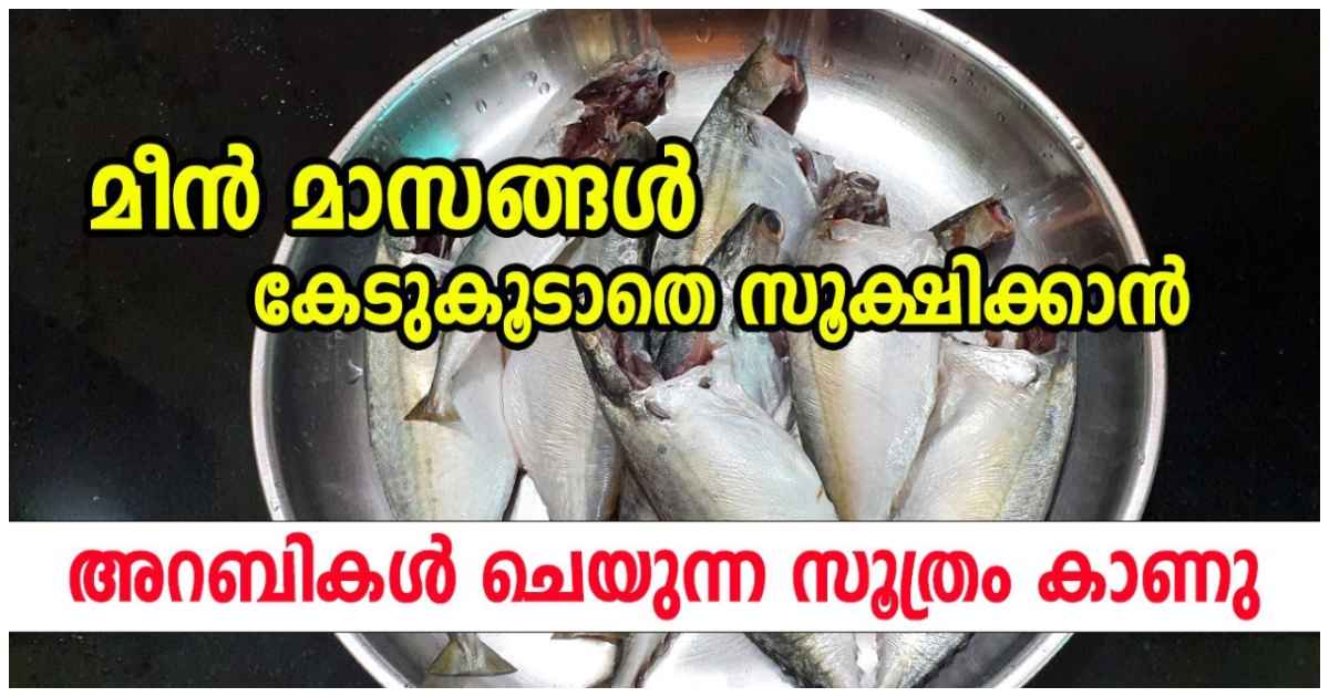 Easy tips to store fish for long time