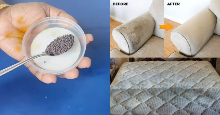 Sofa and bed easy cleaning tricks